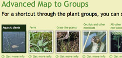 What's a plant group: small
            screenshot